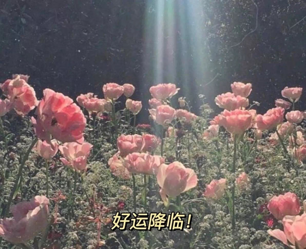 QQ图片20210427224853.jpg
